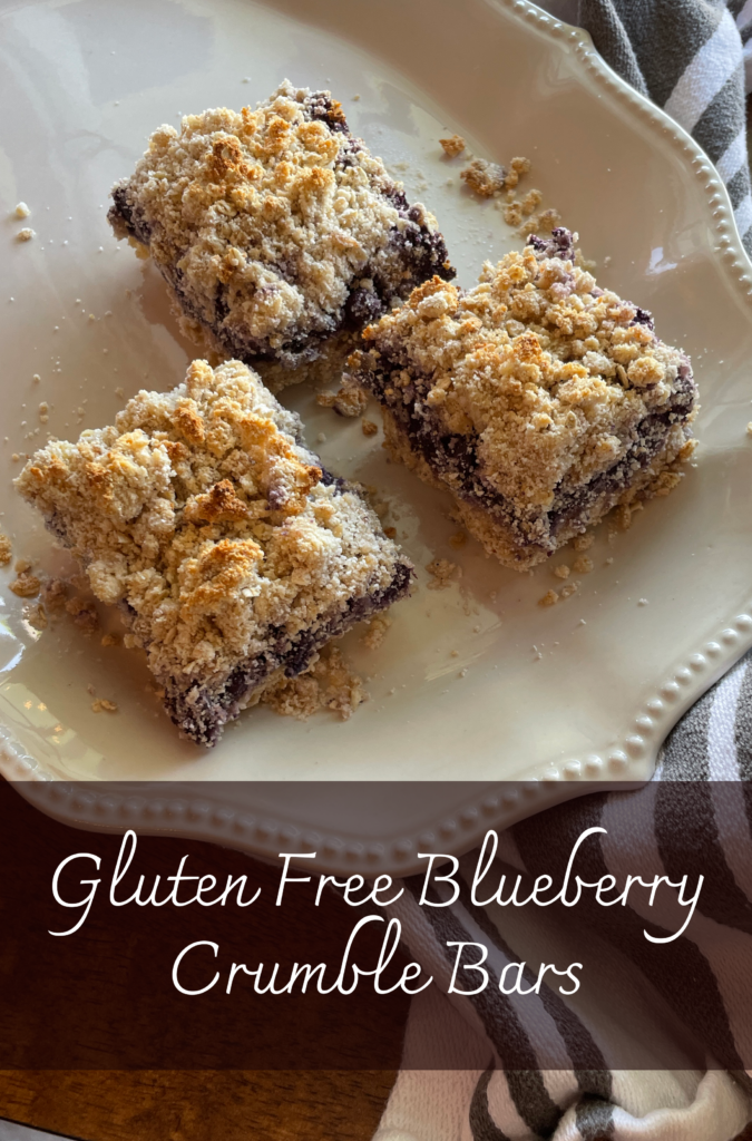 Gluten free coconut flour vegan blueberry crumble bars
